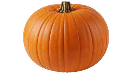 Isolated Orange Pumpkin
