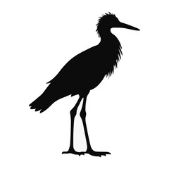 Fototapeta premium A elegant silhouette of a heron with long legs, set against a plain background. Ideal for nature illustration, wetland art.