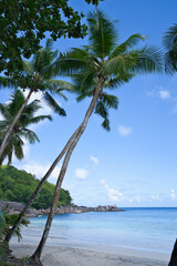 Beautiful white sandy beach, turquoise water and coconut palm trees at anse takamaka, Mahe Seychelles 