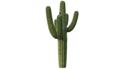 Fototapeten Kaktus Isolated Saguaro Cactus on White Background  © Timo