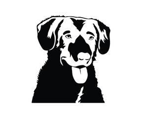 chesapeake retriever head vector illustration, black and white retriever dog graphic art