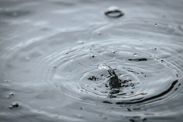 A water droplet creates a splash and a crown-like spike on a calm dark surface, captured in a...