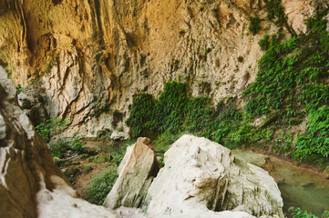 Majestic Limestone Rocks Amid Lush Greenery in Natural Cave Setting