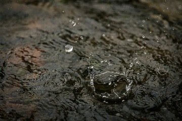 A close-up shot captures water droplets splashing and rippling on a dark surface, showing motion...