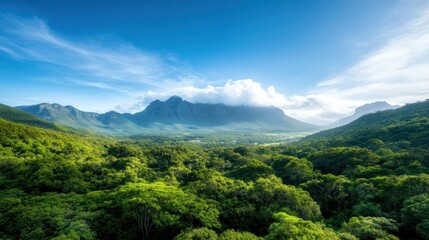 Fototapeta premium A breathtaking view of a lush green valley surrounded by towering mountains, showcasing nature's beauty and tranquility in a serene landscape under a bright blue sky.