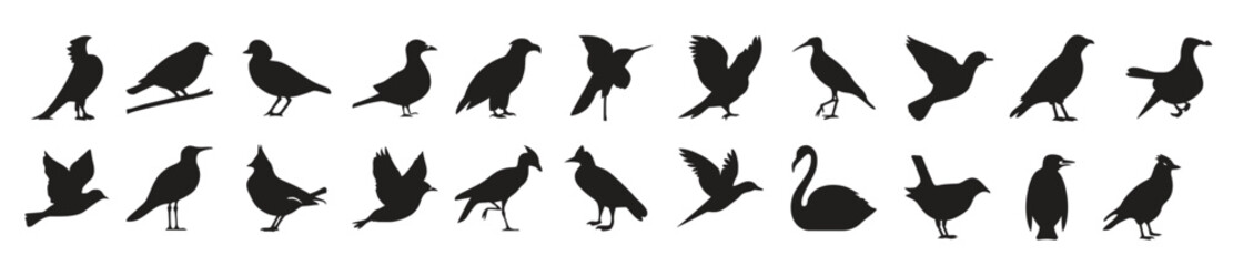 collection different kind birds including silhouette vector design white background.