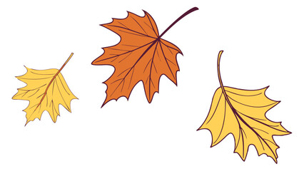 Obraz premium Trio of Colorful Autumn Leaves