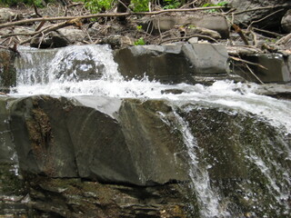 waterfall in the forest