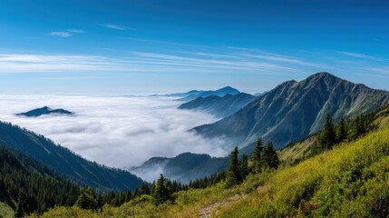 Rocky mountain summit view over a sea of low-lying clouds