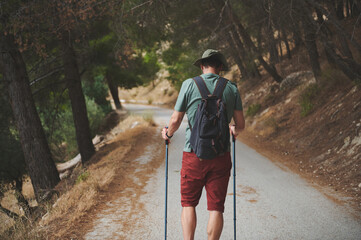 Hiker Exploring a Scenic Mountain Path Surrounded by Lush Greenery