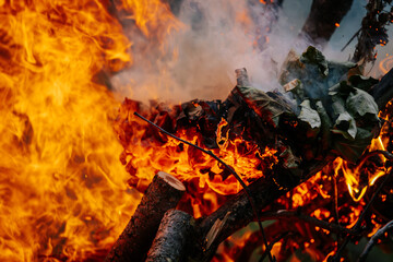 Close-up of burning logs and dry leaves with vivid flames and smoke rising, capturing the intense...