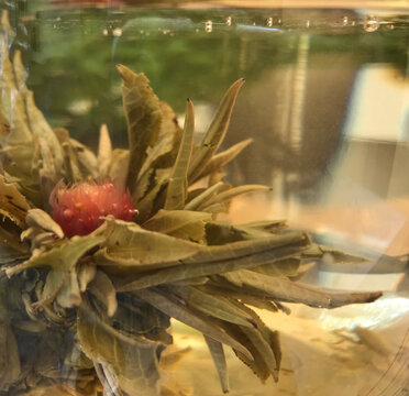 Flor de t&eacute;