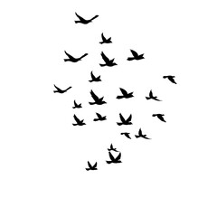 Flying Bird Silhouette Vector Set for Tattoos and Nature-Inspired Art