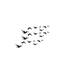 Flying Bird Silhouette Vector Set for Tattoos and Nature-Inspired Art