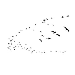 Flying Bird Silhouette Vector Set for Tattoos and Nature-Inspired Art