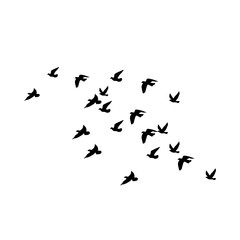 Flying Bird Silhouette Vector Set for Tattoos and Nature-Inspired Art