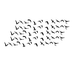 Flying Bird Silhouette Vector Set for Tattoos and Nature-Inspired Art