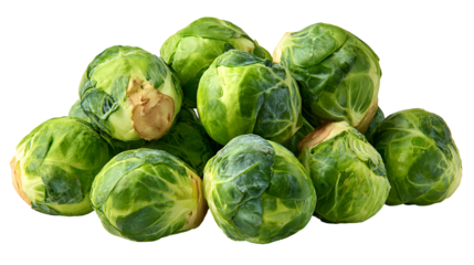 Fresh green Brussels sprouts pile healthy food