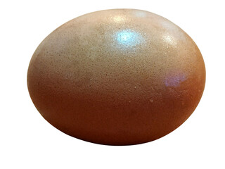 A single brown chicken egg with a smooth, slightly speckled shell and a subtle sheen on its surface.