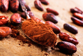 Chocolate beans that have been dried in the sun and are ready to be produced