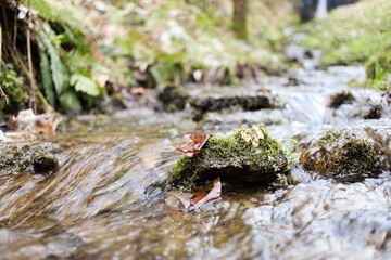 Stone covered with moss in a stream with flowing water