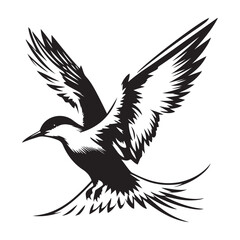 eagle vector illustration