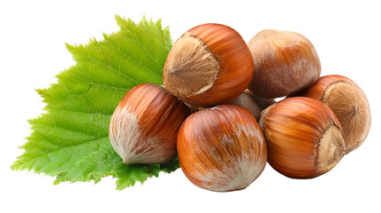 Hazelnuts on green leaf natural food harvest