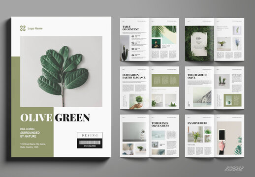 Olive Green Lifestyle Brochure Layout