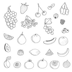 Fruits and berries large set of doodles, hand drawing, vector illustration