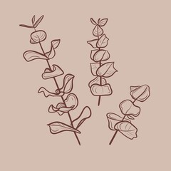 Eucaliptus Minimal design for card beige background. Botanical continuous line drawing. Botanical illustration
