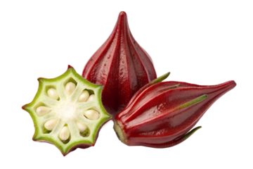Red and green hibiscus fruits isolated on transparent background