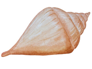 Watercolor hand drawn summer beach set with coastal resort items, such as palm tree, beach umbrella, coctails, seashells, sunglasses, hat, and flowers. Elements for design cards, packaging, website.
