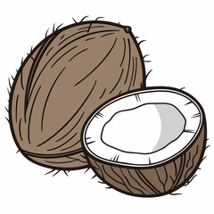 Illustration of a whole and a half coconut on a white background