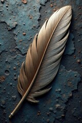 Polished chrome feather, rustic stone surface, stone, gray, surface texture