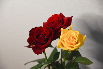 赤と黄色のばら
