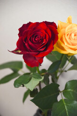 赤と黄色のばら