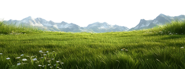 green grass meadow outdoor 3d-illustration  white background in PNG format.