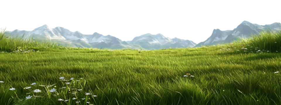 green grass meadow outdoor 3d-illustration  white background in PNG format.