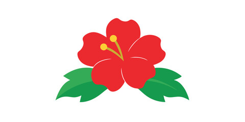 Simple Red Hibiscus Flower with Green Leaves on White Background