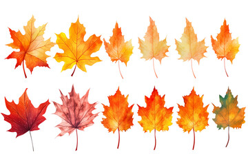 Fototapeta premium Vibrant Autumn Maple Leaves: Watercolor Collection for Design transparent background png