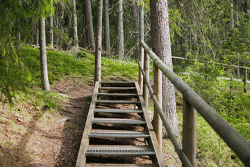 Wooden staircase with railings in the depths of the Estonian forest on a summer day
