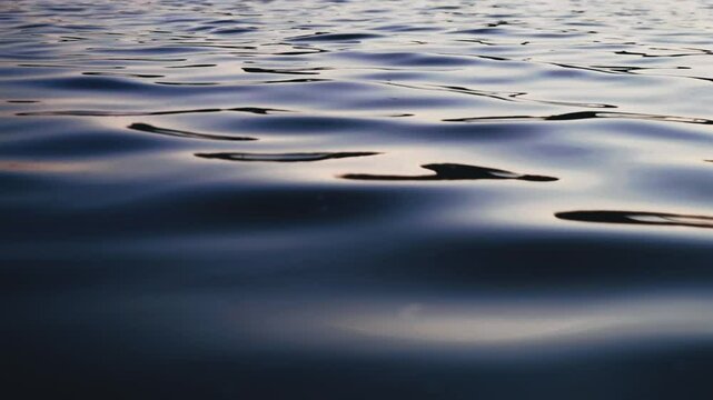 Soothing footage of gentle waves rippling across a calm river surface. Shot without visible shoreline, this seamless water texture is ideal for use as a natural background, meditative loop, or peacefu