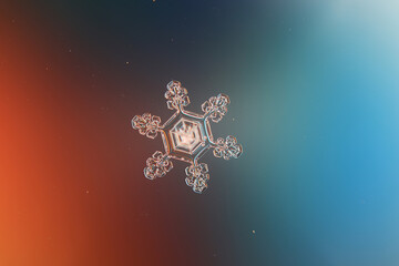 Snowflake macro natural crystal close-up, real photo