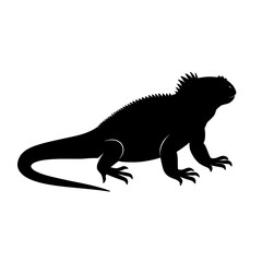 Fototapeta premium Silhouette of a Marine Iguana with Detailed Spikes and Tail