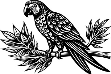 A macaw perched on a branch, isolated on a white background.