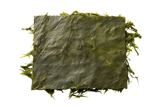 Vibrant Green Seaweed Texture: Close-Up Macro Shot transparent background png