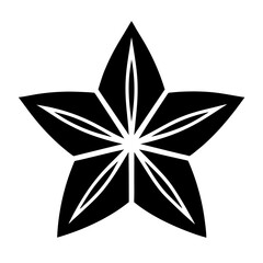 Obraz premium Five pointed star isolated on white background