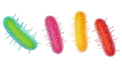 Illustration of Four Colorful Bacteria with Protrusions