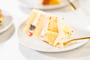 Softly Lit Vanilla Cake Slice Side View