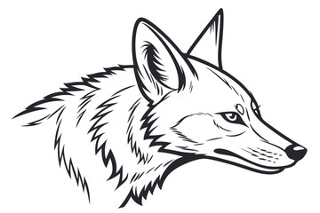 Monochromatic coyote head shows detailed outline, illustrating its strong and expressive facial features